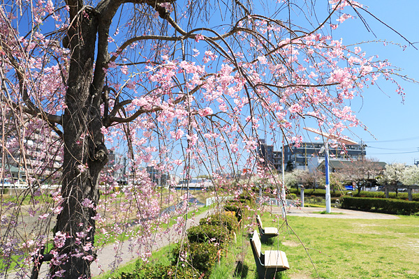 ���炭��I�����