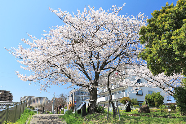 ���炭��I�����