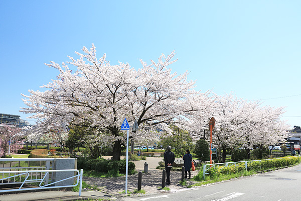 ���炭��I�����