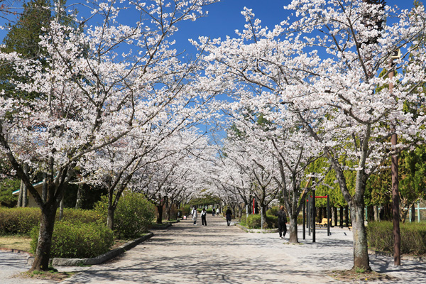 ���炭�˓����