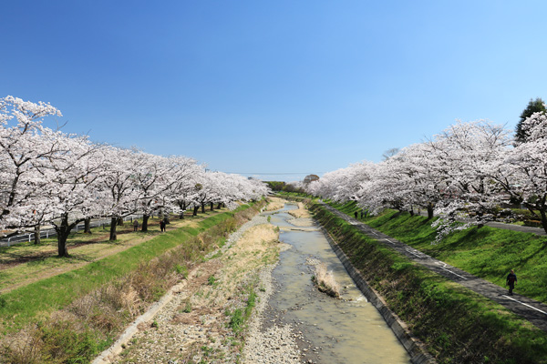 ���炭�˓����