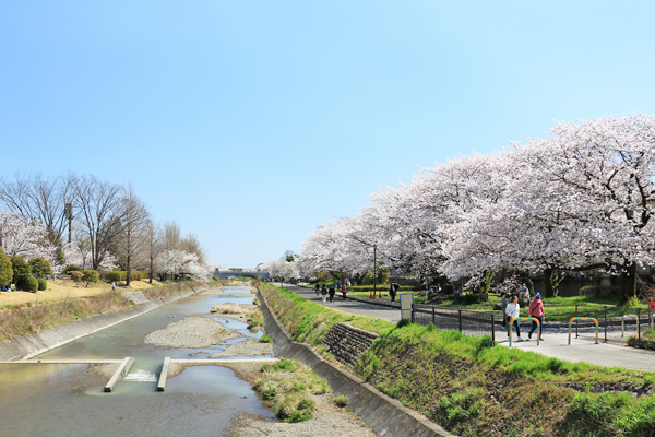 ���炭�˓����