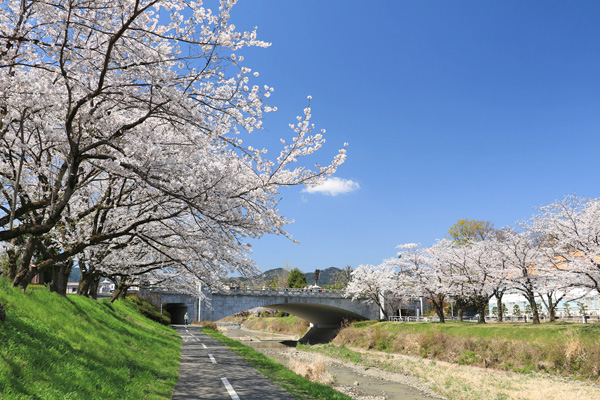 ���炭�˓����