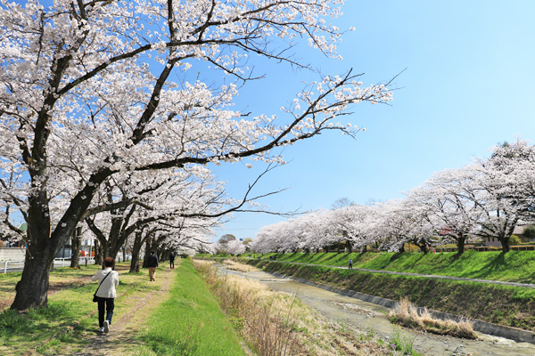 ���炭�˓����