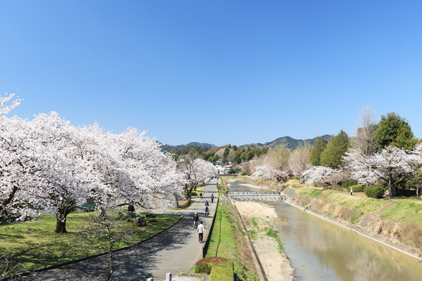 ���炭�˓����