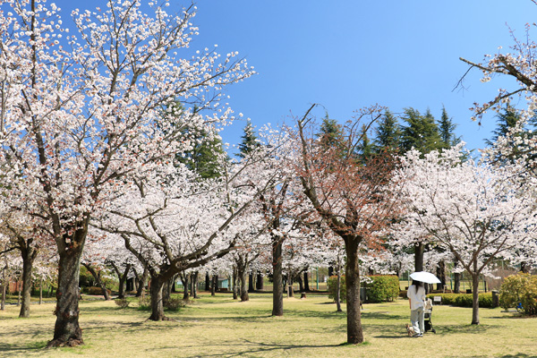 ���炭�˓����