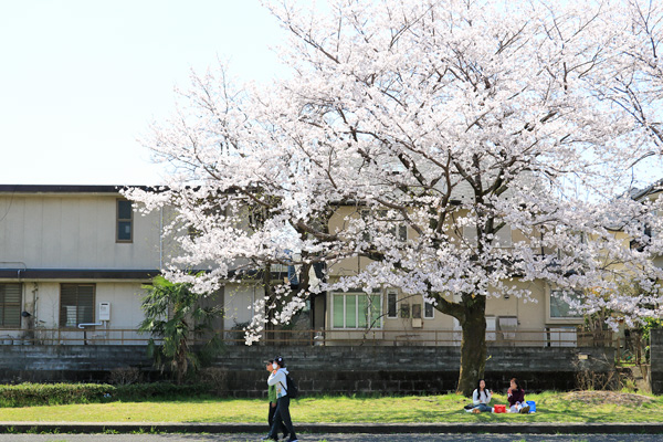 ���炭�˓����