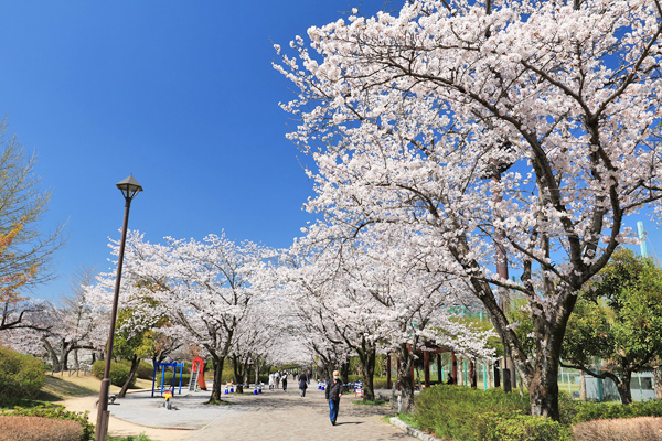 ���炭�˓����