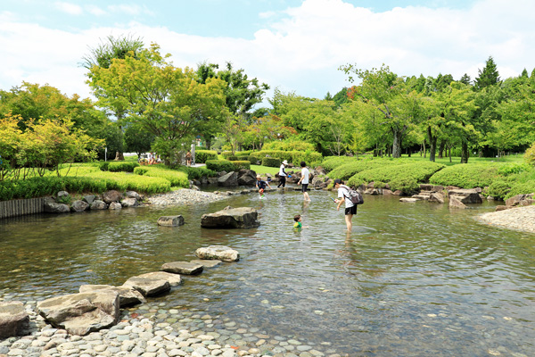 夏の陵南公園 夏の陵南公園