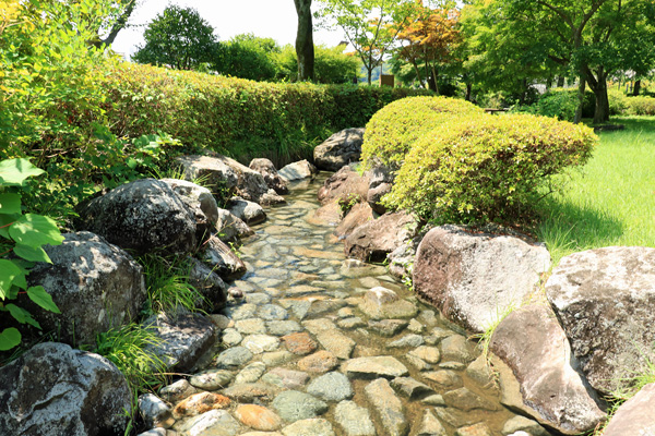 夏の陵南公園 夏の陵南公園