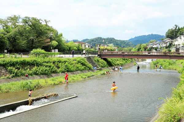 夏の陵南公園 夏の陵南公園