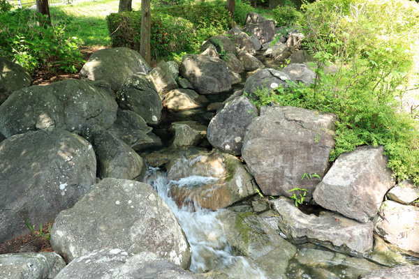 夏の陵南公園 夏の陵南公園