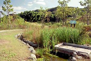 由木めぐみ野公園 由木めぐみ野公園