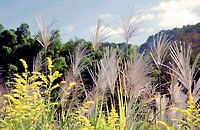 由木めぐみ野公園 由木めぐみ野公園