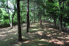 鶴亀松公園 鶴亀松公園