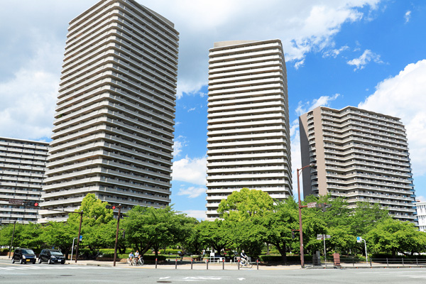 ���{����