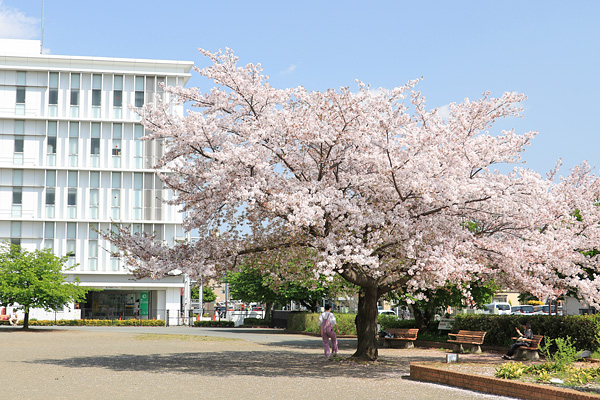 ���炭���{����