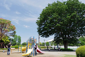 横山公園 横山公園