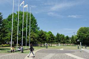 横山公園 横山公園