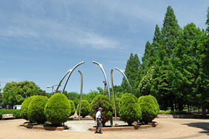 横山公園 横山公園