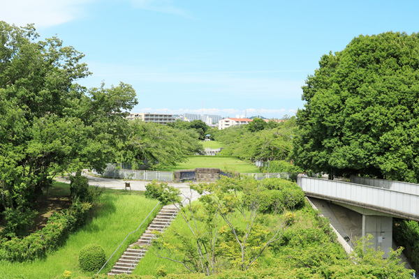 �ߖq������