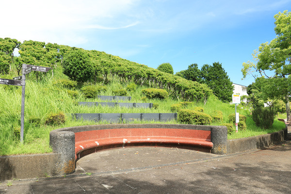 �ߖq������