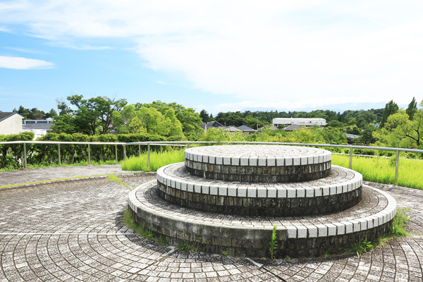 �ߖq������