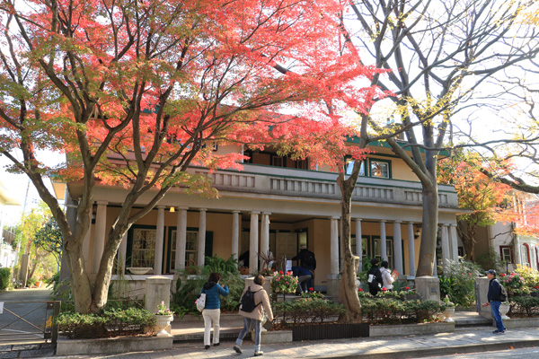 ���t�̌�������