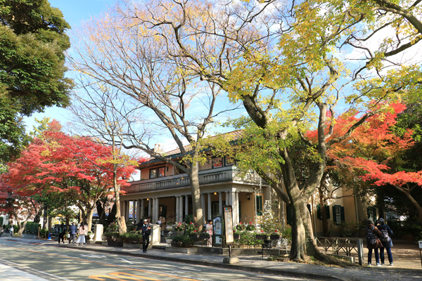 ���t�̌�������