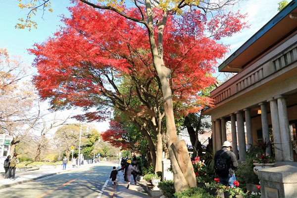 ���t�̌�������