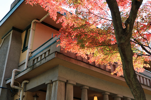 ���t�̌�������