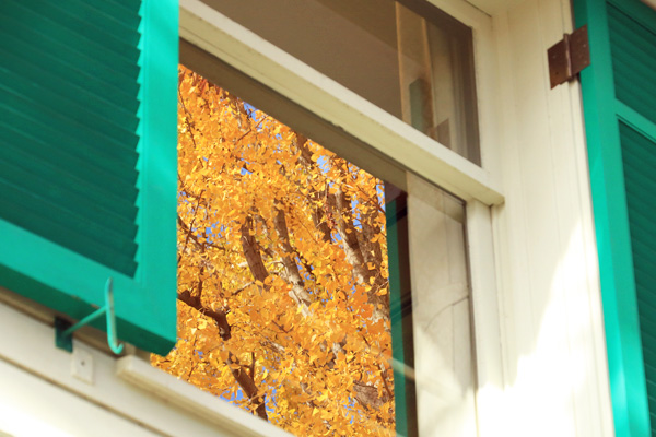 ���t�̌�������