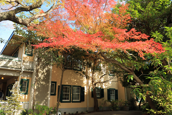 ���t�̌�������