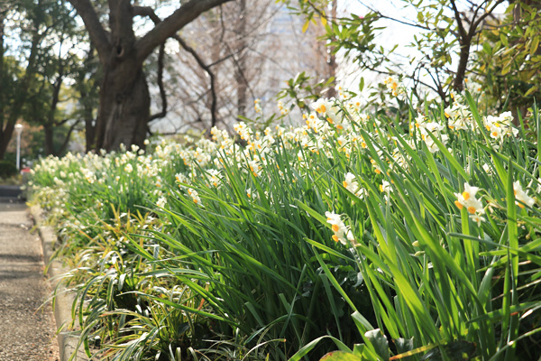 ����̍炭�R������