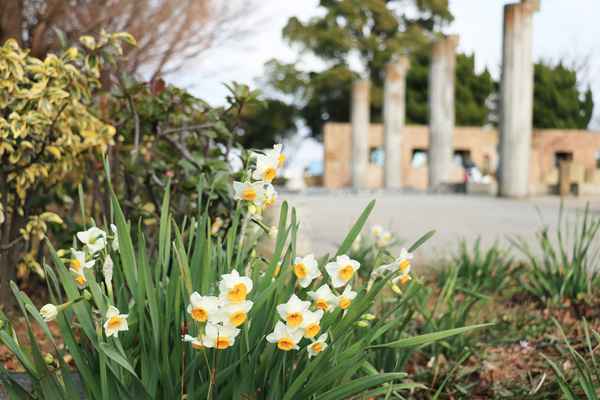 ����̍炭�R������