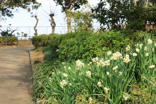 ����̍炭�R������