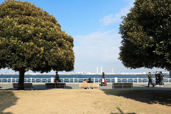 ����̍炭�R������