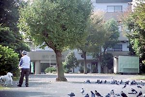 神奈川通東公園 神奈川通東公園