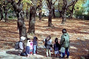 幸ヶ谷公園 幸ヶ谷公園