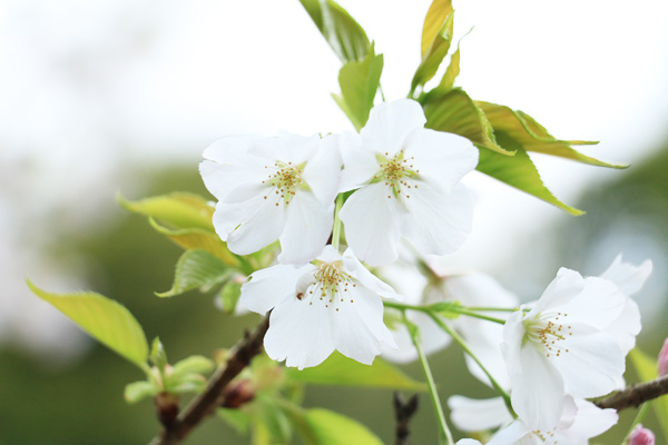 ���l�������U��