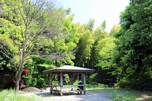 烏山公園 烏山公園