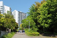 烏山公園 烏山公園