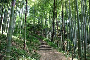 烏山公園 烏山公園