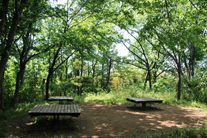 烏山公園 烏山公園