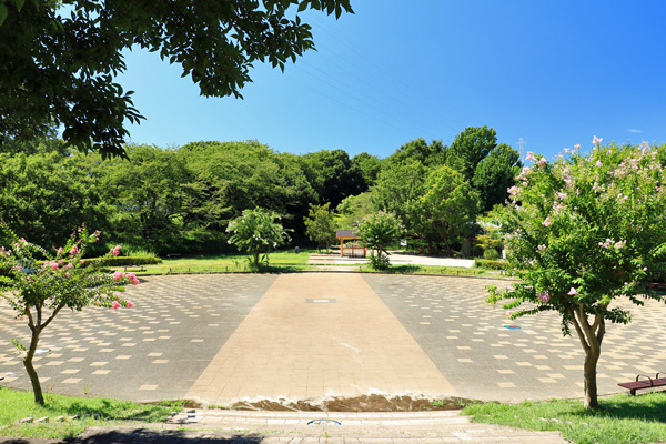 夏の座間谷戸山公園 夏の座間谷戸山公園