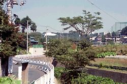 図師町の鶴見川河畔 図師町の鶴見川河畔