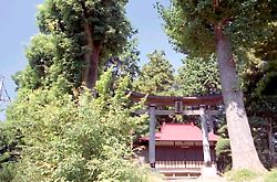 山崎町の稲荷大明神 山崎町の稲荷大明神