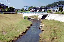 下流側から丸山橋を見る 下流側から丸山橋を見る