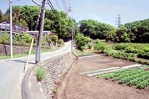 小野路町東部の丘 小野路町東部の丘