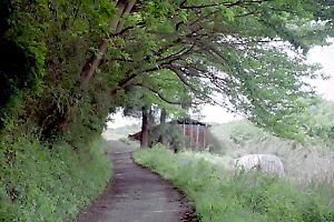 小野路の畑道 小野路の畑道